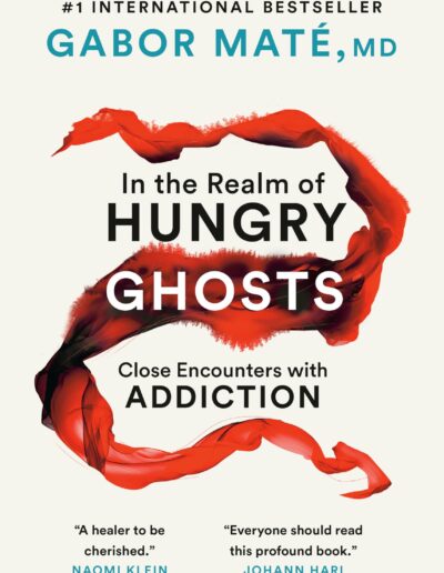 In the Realm of Hungry Ghosts: Close Encounters with Addiction
