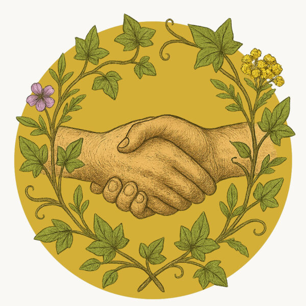 Practitioner Follow-Up Consultation